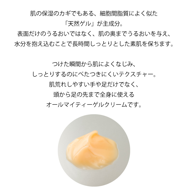 画像に alt 属性が指定されていません。ファイル名: bsg50-20.jpg