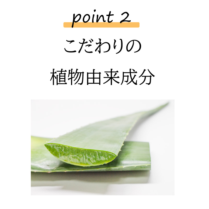 画像に alt 属性が指定されていません。ファイル名: bsg50-7.jpg