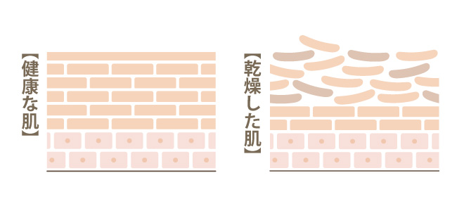 コラム