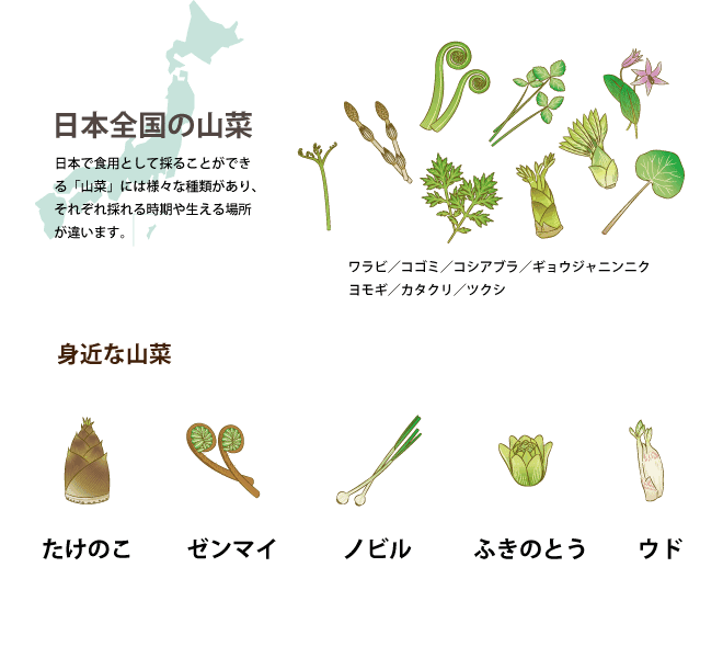 季節になったら味わいたい 春の山菜でデトックス エミュアール化粧品 公式サイト