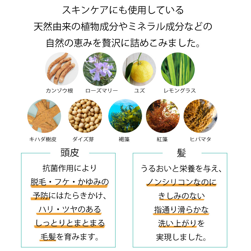 ゲルリッチシャンプー