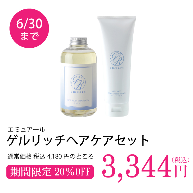 ゲルリッチヘアケアセット
