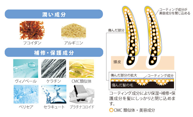 ゲルリッチトリートメントリペア